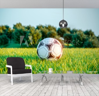 Picture of Soccer ball on field grass Outdoor games 3d